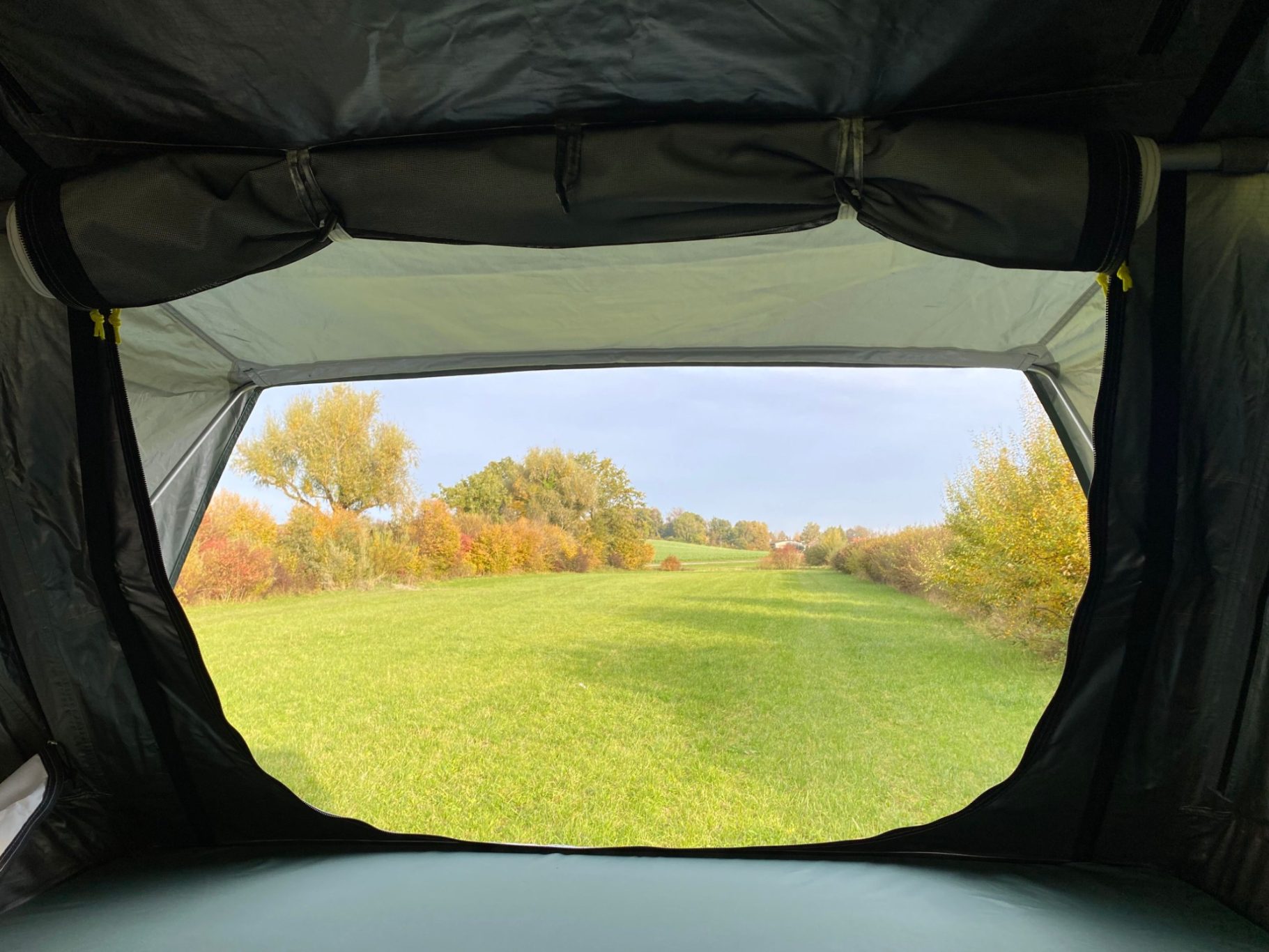 Ausblick durch den Eingang Blick aus einem Zelt auf eine grüne Wiese und Bäume im Hintergrund.